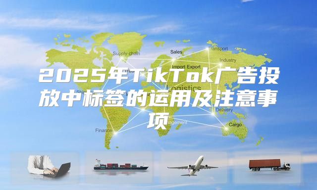 2025年TikTok广告投放中标签的运用及注意事项