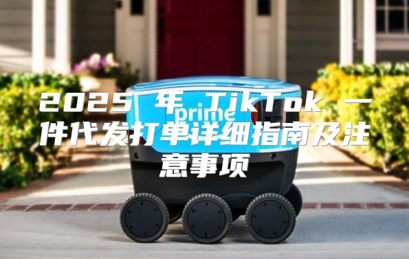 2025 年 TikTok 一件代发打单详细指南及注意事项