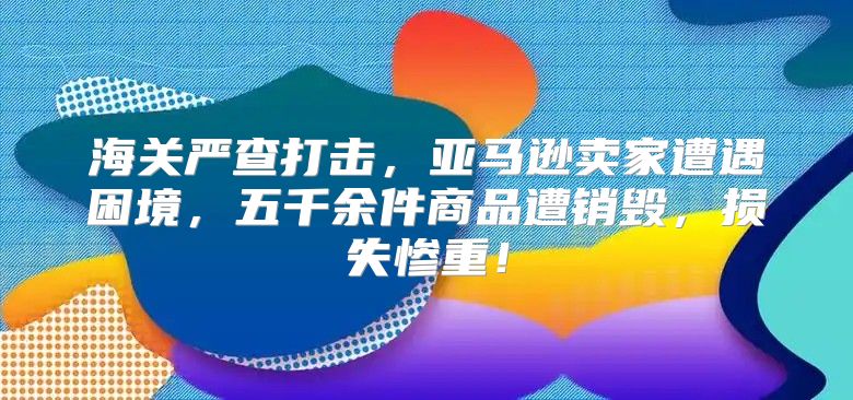 海关严查打击，亚马逊卖家遭遇困境，五千余件商品遭销毁，损失惨重！