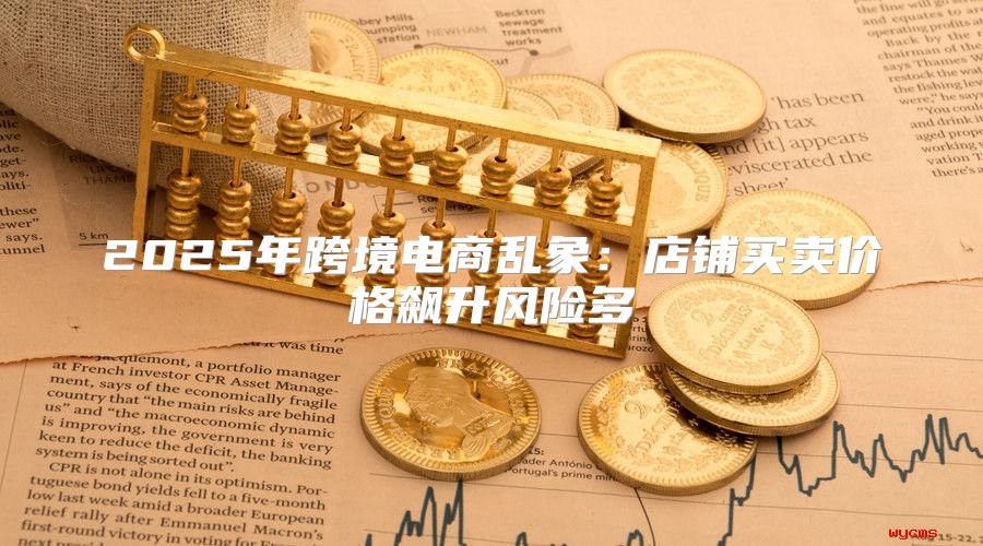 2025年跨境电商乱象：店铺买卖价格飙升风险多