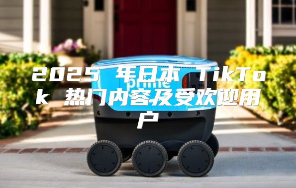 2025 年日本 TikTok 热门内容及受欢迎用户