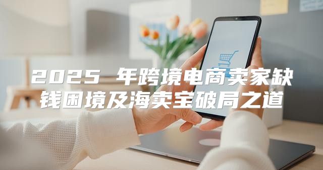 2025 年跨境电商卖家缺钱困境及海卖宝破局之道