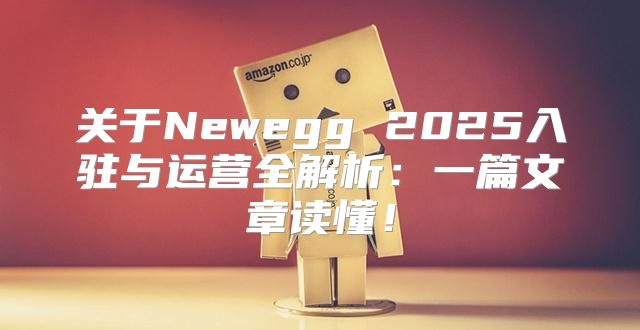 关于Newegg 2025入驻与运营全解析：一篇文章读懂！