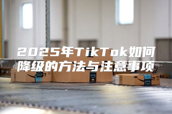 2025年TikTok如何降级的方法与注意事项