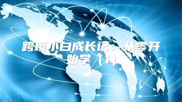 跨境小白成长记：从零开始学1