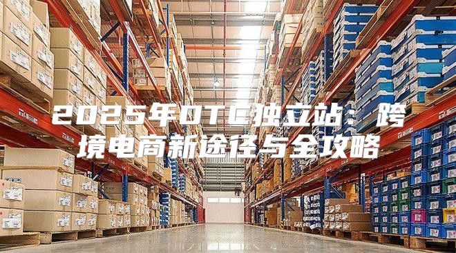 2025年DTC独立站：跨境电商新途径与全攻略