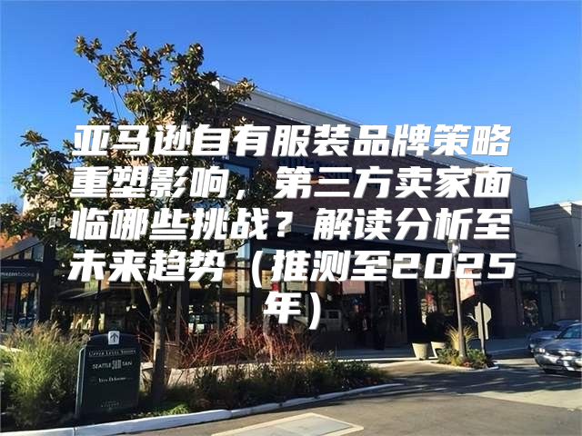 亚马逊自有服装品牌策略重塑影响，第三方卖家面临哪些挑战？解读分析至未来趋势推测至2025年