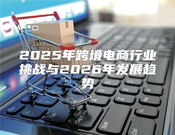 2025年跨境电商行业挑战与2026年发展趋势
