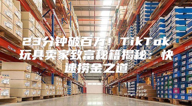 23分钟破百万！TikTok玩具卖家致富秘籍揭秘：快速捞金之道