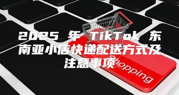 2025 年 TikTok 东南亚小店快递配送方式及注意事项