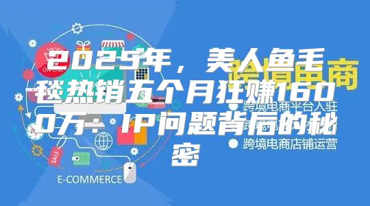 2025年，美人鱼毛毯热销五个月狂赚1600万：IP问题背后的秘密