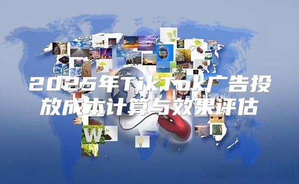 2025年TikTok广告投放成本计算与效果评估