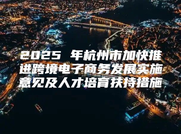 2025 年杭州市加快推进跨境电子商务发展实施意见及人才培育扶持措施