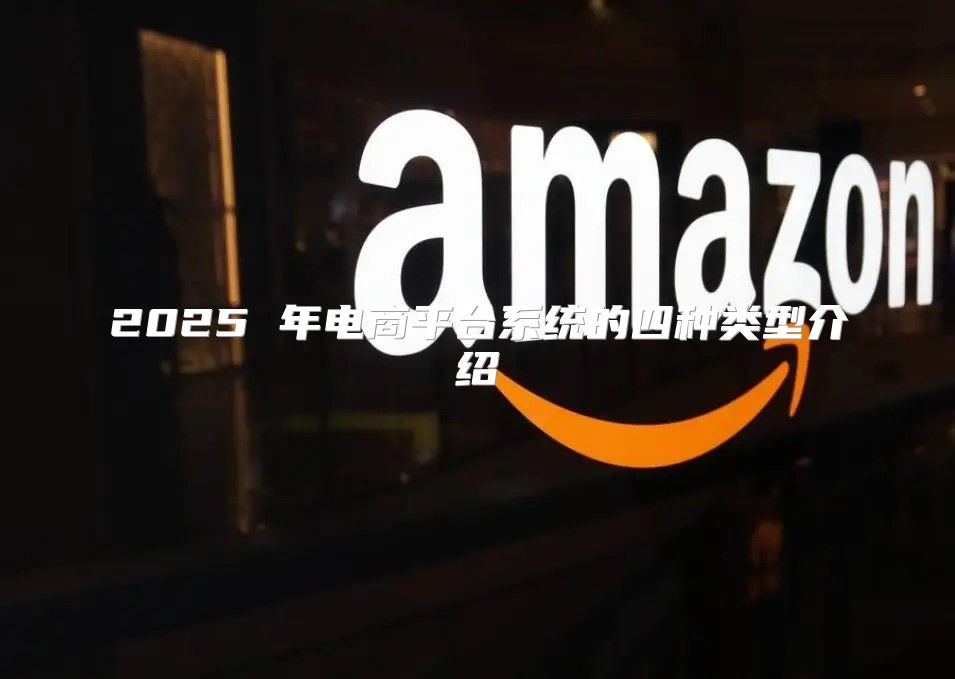 2025 年电商平台系统的四种类型介绍