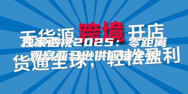 独家透视2025零距离观察亚马逊供应链全貌