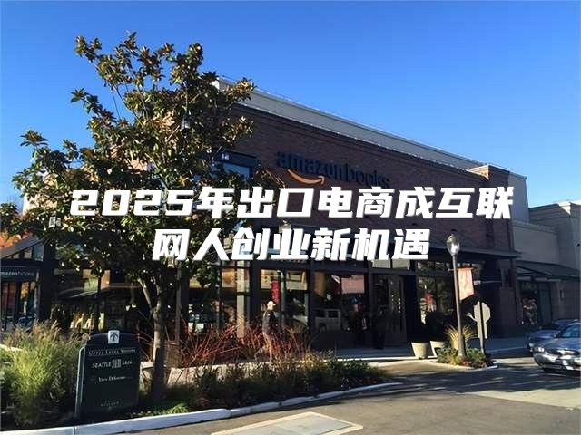 2025年出口电商成互联网人创业新机遇