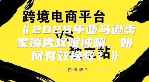 2025年亚马逊卖家销售权限被删，如何有效挽救？