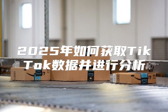 2025年如何获取TikTok数据并进行分析