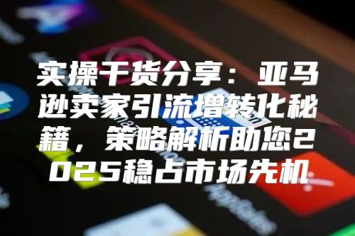 实操干货分享：亚马逊卖家引流增转化秘籍，策略解析助您2025稳占市场先机