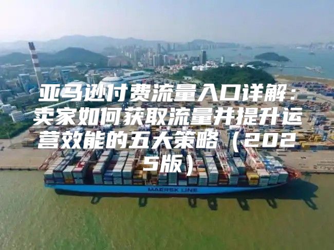 亚马逊付费流量入口详解：卖家如何获取流量并提升运营效能的五大策略2025版