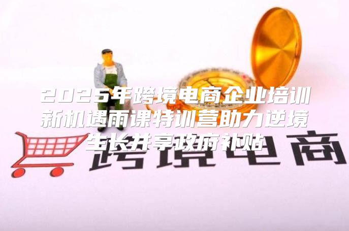 2025年跨境电商企业培训新机遇雨课特训营助力逆境生长并享政府补贴