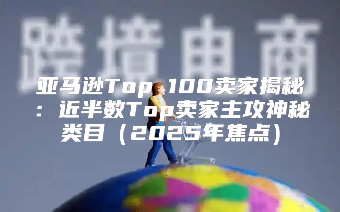亚马逊Top 100卖家揭秘：近半数Top卖家主攻神秘类目2025年焦点