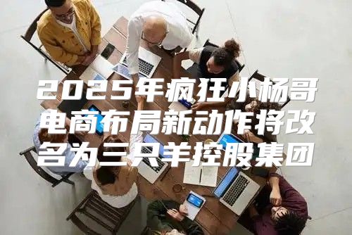 2025年疯狂小杨哥电商布局新动作将改名为三只羊控股集团