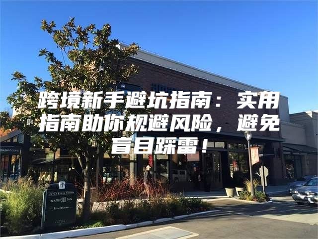 跨境新手避坑指南：实用指南助你规避风险，避免盲目踩雷！