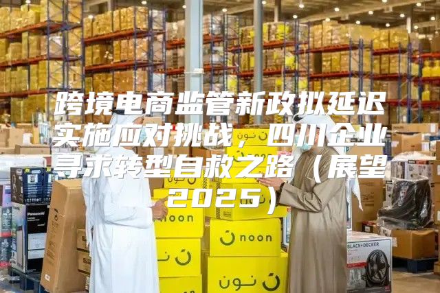 跨境电商监管新政拟延迟实施应对挑战，四川企业寻求转型自救之路展望2025