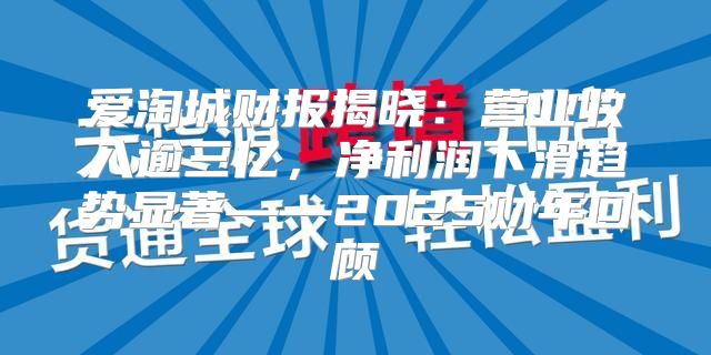 爱淘城财报揭晓：营业收入逾三亿，净利润下滑趋势显著——2025财年回顾