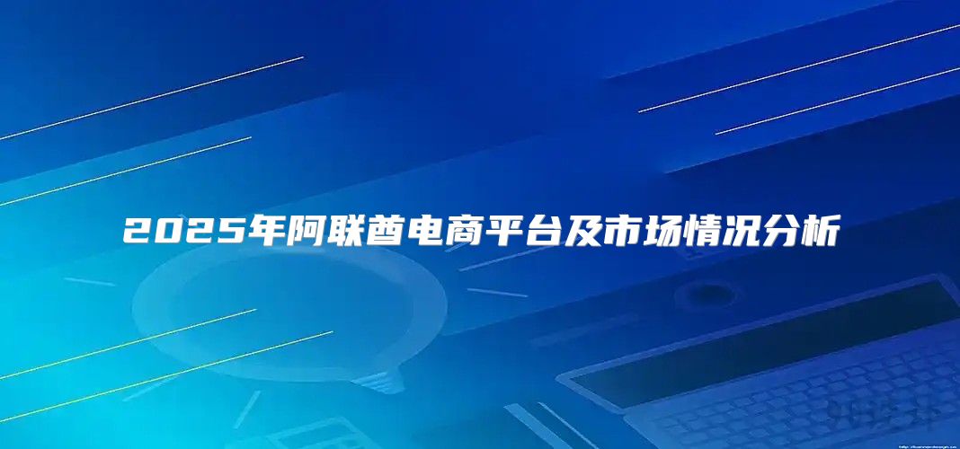 2025年阿联酋电商平台及市场情况分析