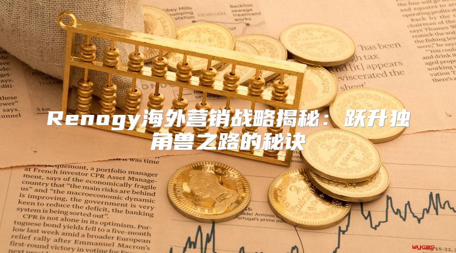 Renogy海外营销战略揭秘：跃升独角兽之路的秘诀
