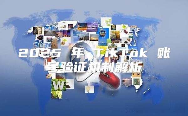 2025 年 TikTok 账号验证机制解析