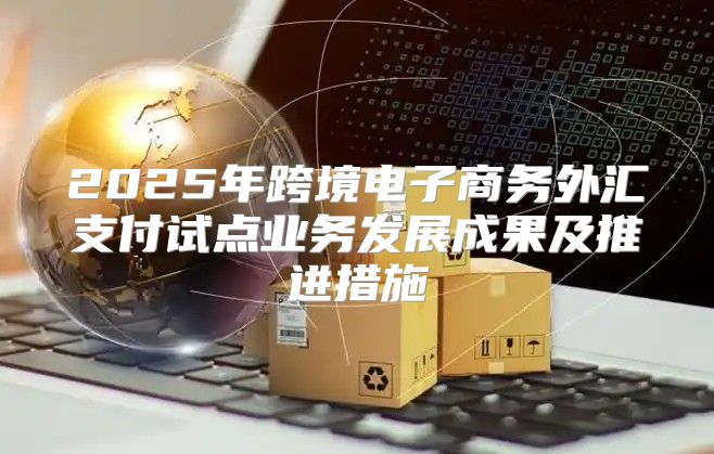 2025年跨境电子商务外汇支付试点业务发展成果及推进措施