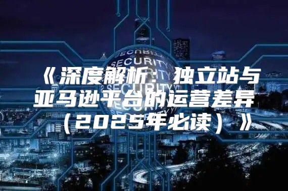 深度解析：独立站与亚马逊平台的运营差异2025年必读