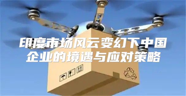 印度市场风云变幻下中国企业的境遇与应对策略