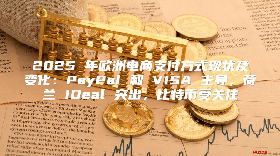 2025 年欧洲电商支付方式现状及变化：PayPal 和 VISA 主导，荷兰 iDeal 突出，比特币受关注
