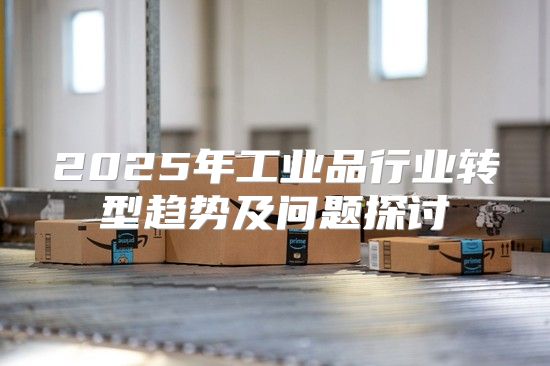 2025年工业品行业转型趋势及问题探讨