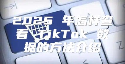 2025 年怎样查看 TikTok 数据的方法介绍