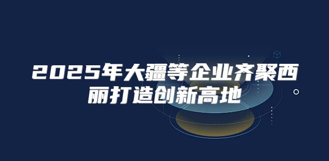 2025年大疆等企业齐聚西丽打造创新高地