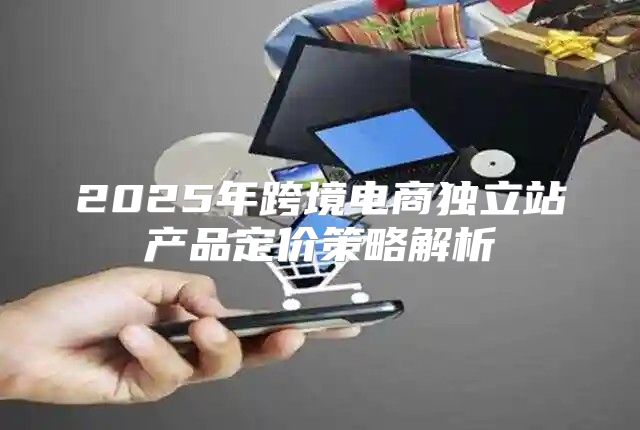 2025年跨境电商独立站产品定价策略解析