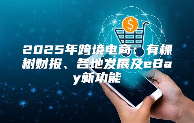 2025年跨境电商：有棵树财报、各地发展及eBay新功能