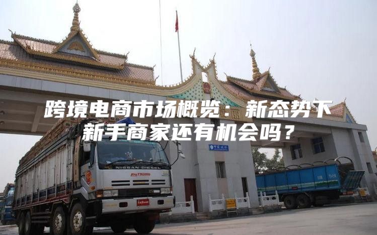 跨境电商市场概览：新态势下新手商家还有机会吗？