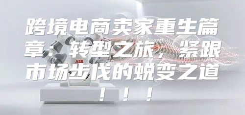 跨境电商卖家重生篇章：转型之旅，紧跟市场步伐的蜕变之道！！！