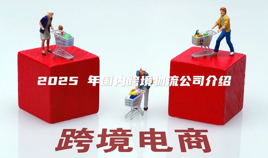 2025 年国内跨境物流公司介绍