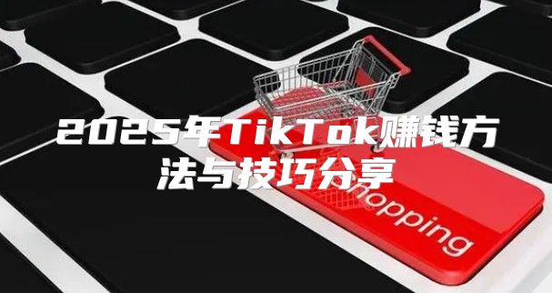 2025年TikTok赚钱方法与技巧分享