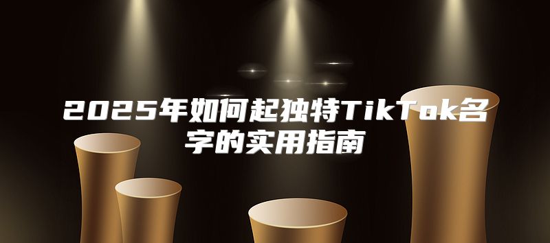 2025年如何起独特TikTok名字的实用指南