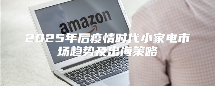 2025年后疫情时代小家电市场趋势及出海策略