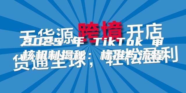 2025 年 TikTok 审核机制揭秘：标准与流程