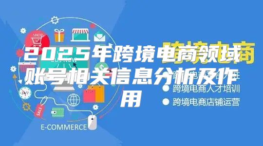 2025年跨境电商领域账号相关信息分析及作用